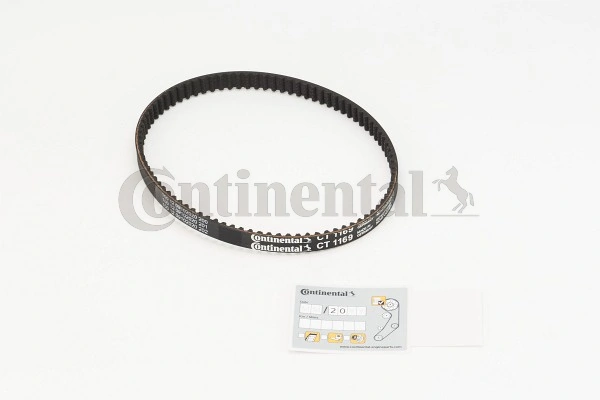 Timing Belt